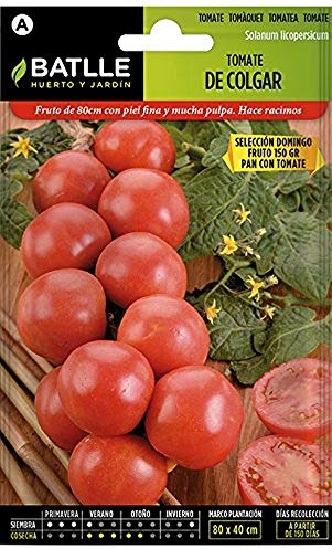 Semillas Batlle Semences de tomates à accrocher, Dimanche