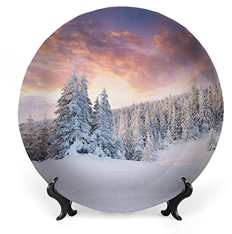 LIGUTARS Decorative Plates, Winter Print Ornament, Sunrise in The Winter Landscape Snowy Fields Frozen, 10 Inch, 1 Plate with 1 Display Stand, Multicolor