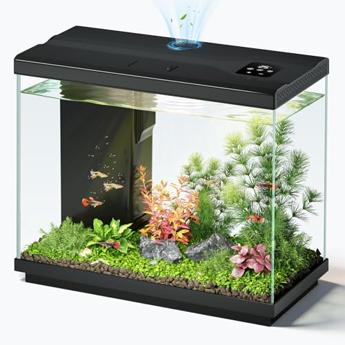 EVIEUN 8,3 L Aquarium Combattant, Aquarium Complet Noir
