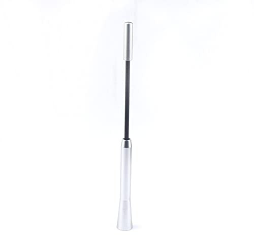 KFZ Autoantenne, AM/FM Antenne Kurz 17cm Dachantenne LKW Aluminiumlegierung Signalempfangsantenne mit M5 M6 Schraube Universal Kfz Ersatzantenne Auto Radio Stabantenne für Auto Sportwagen, SUVs