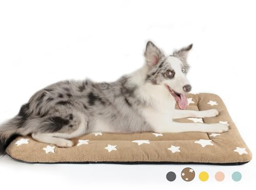 Mora Pets Hundekäfig-Unterlage, Hundehütte, Bettmatte für große Hunde, waschbar, niedliches Stern-Haustierbett für 91,4 cm Käfig, ultraweich, flach, Welpen-Katzenkissen für gemütliches Schlafen,