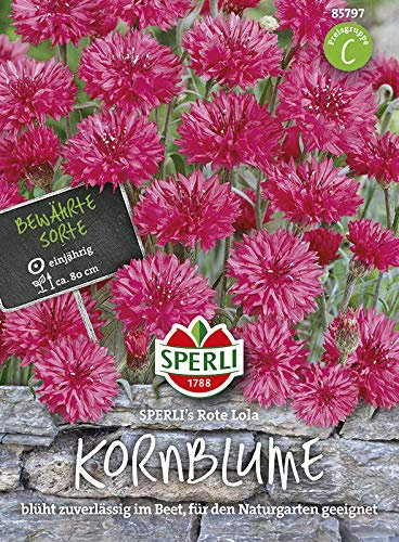 Sperli 85797 Kornblume Rote Lola (Kornblumensamen)
