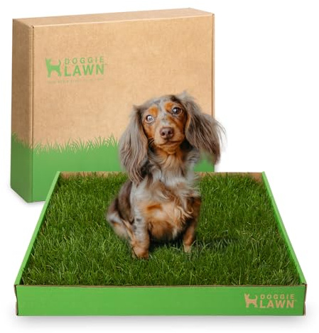 DoggieLawn Real Grass Puppy Pee Pads- 24 x 16 Inches - Perfect Indoor Litter Box for Dogs - No Mess, Easy-to-Use - Potty Training for Pets - Eco-Friendly Disposable Bathroom with Real Living Grass