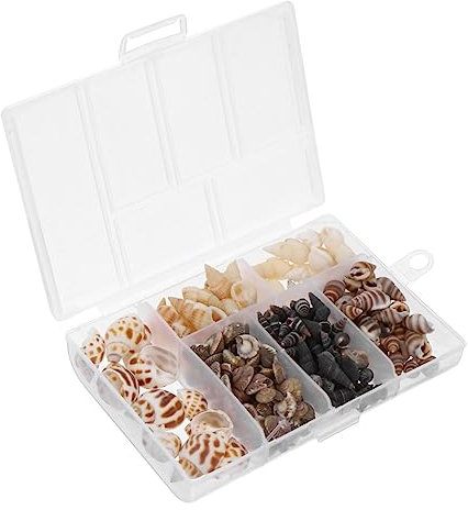 Toddmomy 1 Schachtel Conch Shell Aquarium Dekoration Mischsortiment Natürliche Muscheln für Fischbecken für Süß und DIY Aquariengestaltung Sicher für Fische und