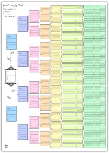 LA PUCCINA Family Tree Ancestry Chart (colour, tube-rolled)