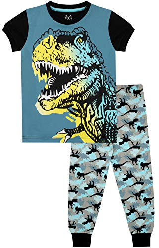 Harry Bear Pojkar dinosaurietröja Slim Fit, flerfärgad, 134 cm