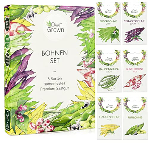 Bohnen Samen Set: 6 Köstliche Bohnen Sorten für Garten und Balkon – Stangenbohnen Samen, Buschbohnen Samen – Alte Gemüse Samen – Bohnen Saatgut Alte Sorten – Samen Gemüse OwnGrown