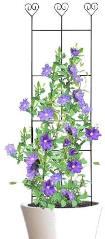 Enrejados de jardín, enrejados de metal para plantas de escalada de jardín, estacas de metal de apoyo para decoración de patio | Cama elevada y estructura de soporte para interiores y exteriores, flor