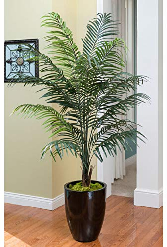 Petals - 6.5' Silk Areca Palm Tree - 6.5' Height x 48 Width