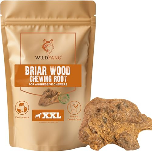 Wildfang® Tuggrot av Briar-trä, XXL – Splitterfritt tuggben i trä. Luktfria och naturliga tuggvänliga leksaker för hundens tandhälsa och friskt tandkött (för hundar över 60 kg), 1-pack.