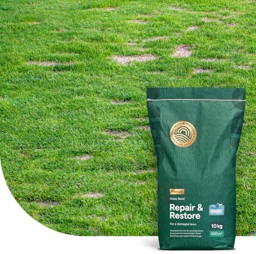 MRS Rasensamen Reparaturrasen Premium – 10 kg für 500 m² – Schnell keimender Rasensamen zum Nachsäen kahler Stellen – Keimt bereits bei 6 °C – Mit Hydroboost-Beschichtung
