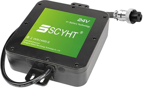 SSCYHT Batería de Litio 24 V, 10 Ah y 12 Ah Batería para Silla de Ruedas eléctrica 24 V Baterías Repuesto con BMS para Kit Motor 50 W a 288 W,24v12ah gx20 Female