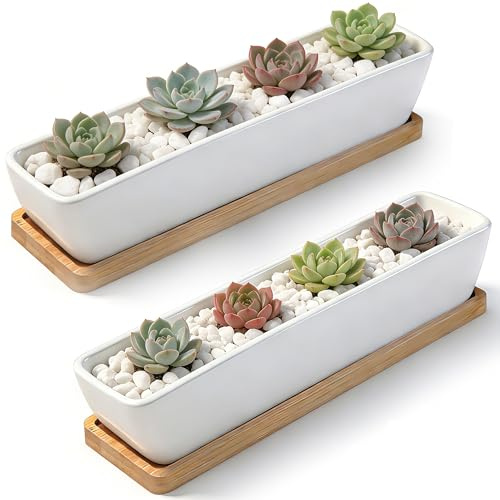 ARVINKEY Weiße Keramik-Sukkulenten-Plantierer, Innen- und Außenbereich Sukkulenten-Plantierer, Set mit 2 Kaktus-Containern, Bonsai-Pflanzgefäße (ohne Pflanze)