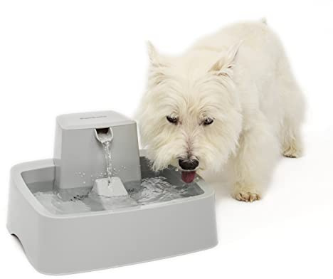 PetSafe Drinkwell Pet Fountain, 3.7L | Free-Falling Water Stream, Customisable Flow, Encourages Hydration, Protects Whiskers