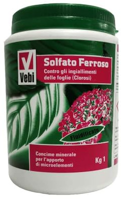 VEBI - Solfato Ferroso Piante da orto e Giardino Contro ingiallimenti clorosi Ferrica 1kg