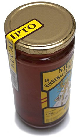Miel de Eucalipto natural 1 kg cristal