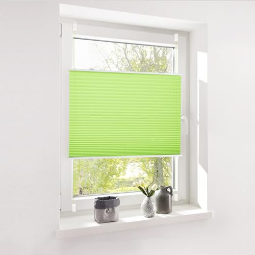 Deswell Plissee ohne Bohren Klemmfix Grün B60 x H120 cm Plisseerollo Sonnenschutz und Sichtschutz Jalousien Easyfix Plissees Lichtdurchlässig Rollo für Fenster & Tür
