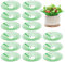 OUMDON Removible Soporte Plantas de Fresa: 15 Piezas Verde Soporte para Fresas - Fresa Protectora Marco de Cultivo de Fresas Evitar Que Las Plantas se Pudran