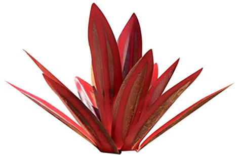 Ligeinsrk Plantes d'agave en métal 13,78 Pouces décor extérieur Tequila Sculpture Rustique Metal Agave Yard Art Sculpture Statue Jardin Jardin décor Ornement vins Plantes Rouges extérieur