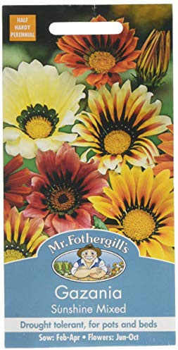 Mr Fothergill's 25392 Flower Seeds, Gazania Sunshine Mixed