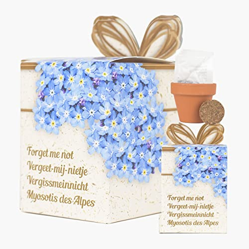 Iflo Pflanzset mit 5 Blumensorten, Anzuchttöpfe mit Erde und Samen, Geschenkbox mit Anleitung (Vergissmeinnicht, 3)