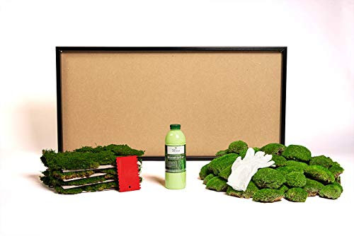 DIY Moosbild selber machen, Wandbilder selber kleben, Moosbilder selbst gestalten Do it yourself Set Moos kleben Wanddeko selbst herstellen Komplett-Set Holzrahmen (schwarz, 110 x 55 cm)