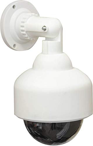 Eagle Dummy Dome Surveillance Camera