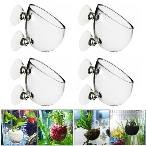 Nizirioo Lot de 4 pots en verre pour plantes aquatiques avec 8 ventouses, support en verre, pour plantes d'aquarium, décoration d'aquarium Transparent