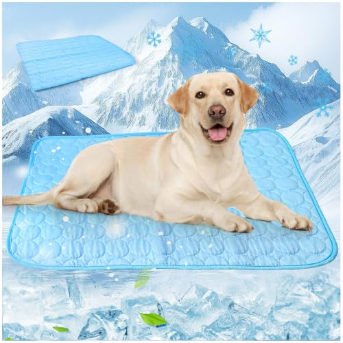 Alfombra Refrescante Perro Grande 100x75cm Cama Perro Grande Verano