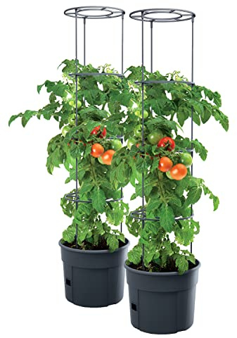 Set med 2 krukor för tomatplantor – 295 x 1 152 mm – planteringskruka för tomater, växter, tomat, trädgård, terrass