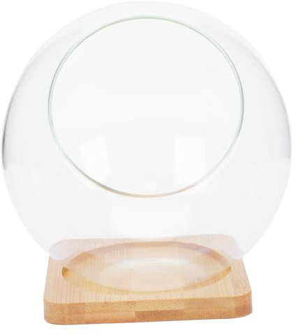 CLISPEED Transparent Glass Micro Landscape Succulent Vase with Bamboo Mat Plant Pot for Indoor Decoration and DIY Moss Bottle Garden