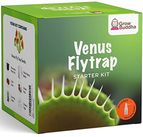 Grow Your own Venus Flytrap Kit – Easily Grow Carnivorous Venus Flytrap Plants with our Beginner friendly Venus Flytrap Kit - Unique Seed Kit Gift idea