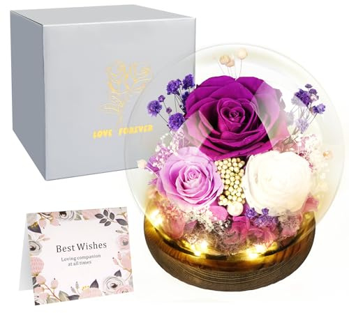 Hossom Ewige Rose im Glas mit Licht - 100% Echte Rose & Symbol Ewiger Liebe - Ideal Geschenk für Frauen als Muttertagsgeschenk, Geburtstagsgeschenk Oma, Jahrestag Geschenk für Freundin und Ehefrau