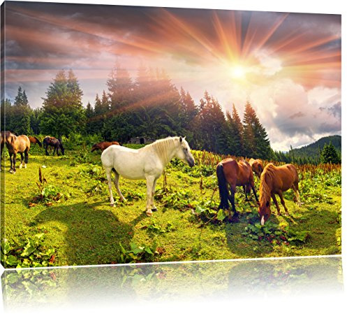 Pixxprint Mustangs Pferde auf den Bergen, Größe: 100x70cm, Leinwandbild, fertig gespannt, Wandbild, Dekoration, Kunstdruck, kein Poster