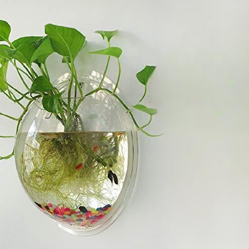 Fioriere in vetro da appendere alla parete, diametro 10 cm/12 cm/15 cm, vaso rotondo in vetro, vasi per piante ad acqua, vaso per fiori, terrari (trasparente, 15 cm)