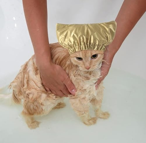 Duschhaube Haustier Bademütze Wasserdicht Hundehüte Verstellbar Badekappe für Katze Hunde Badezubehör Haustierhaube Ohrenschutz Duschhaube Hundeduschekappe Elastisch Gummiband Katzenhut Heimtierbedarf