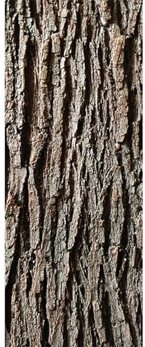 Corteccia d'albero artificiale, Corteccia d'albero realistica per decorazioni artigianali, pilastri, tubi, Aspetto di simulazione tagliabile per colonne, pareti, pavimenti, decorazioni, 1 * 0, 4 m