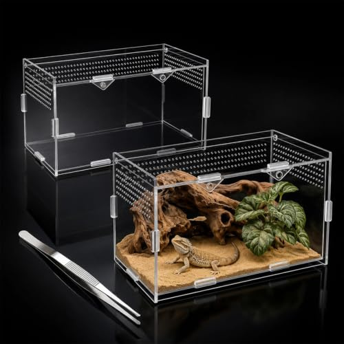 Terrario Reptiles Acrílica, Transparente con Orificios Pinzas 20x12x12cm | Terrario Araña Saltarina, Ventilación Terrarium, para Arañas Geckos Tortugas Contenedor de Alimentación de Insectos
