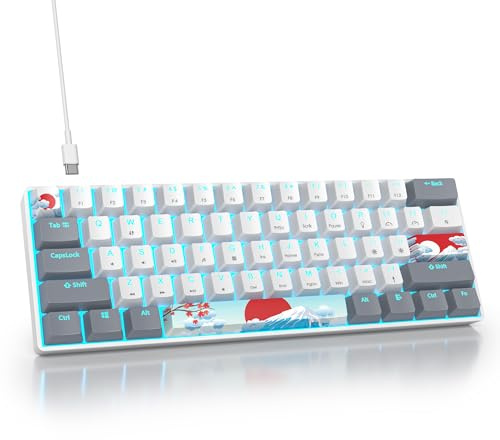 SOLIDEE 60% Mekaniskt Gamingtangentbord,61 Tangenter med Linjära Röda Brytare,Trådbundet Mekaniskt Tangentbord med Isblå LED-bakgrundsbelysning,Kompakt Ergonomiskt Tangentbord(61 Grey White)