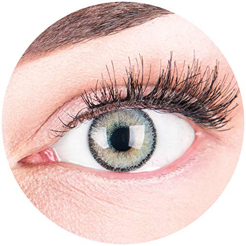 Natürliche Graue Premium Kontaktlinsen 'Mirel Grau' - Stark Deckende Silikon Comfort Linsen für Dunkle und Helle Augen + Behälter - 1 Paar (2 Stück) - DIA 14.00 - Mit Stärke -8.00 Dioptrien