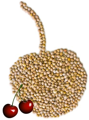 Kirschkerne - 5kg - Kerne für Körnerkissen Wärmekissen Kirschkernkissen