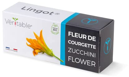 Véritable Lingot® Flores de calabacín Bio - Compatible con Huerto di Interior Exky® - Recarga Lista para Usar - Sustrato con Semillas integradas