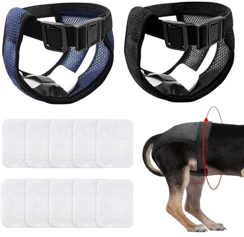 2 Pz Pannolini per Cani Femminas Maschi, Mutandine Cane Femmina Calore, Mutande Cane Femmina Ciclo Riutilizzabile Lavabile Regolabili, per Girovita 50-60 cm, XL, con 10 Assorbenti