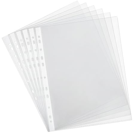 Noa Home Deco Klarsichthüllen A4 Glasklar 100 Stück Prospekthüllen Transparent Klarsichtfolien A4 Glasklar Dokumentenecht Universal-Lochung für Broschüren Ordner Dokumente