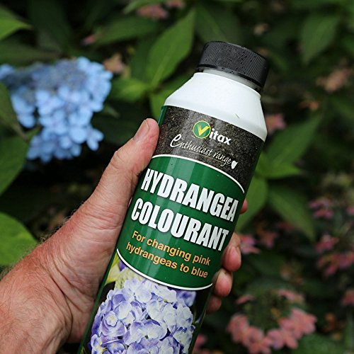 Vitax 250g Hydrangea Colourant (4)