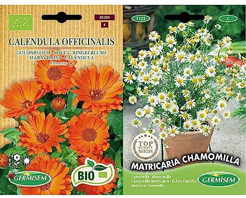 Germisem Bio Graines Souci & graines Camomille Matricaire MATRICARIA CHAMOMILLA