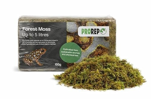 ProRep Forest Moss Bricks 100g Reptiles, Amphibians & Invertebrates Block | Expanding Terrarium Moss, Substrate for Vivariums & Decoration, Natural, Sustainable