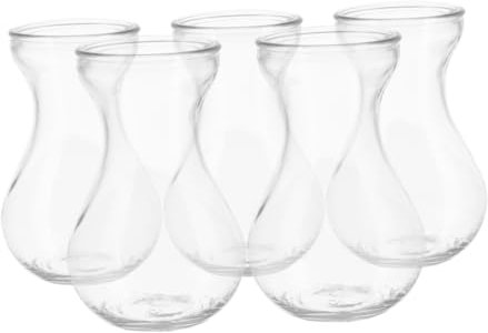 CLISPEED 5 Pezzi Vasi in Vetro Per Fiori Da Tavolo Contenitori Per Piante Decorazione Casa Ufficio Vaso Per Giacinti Vaso Fiori