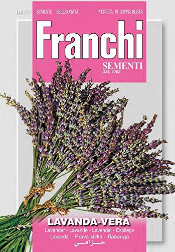 SEMI LAVANDA VERA FRANCHI SEMENTI