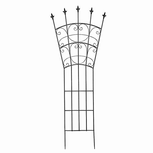 Siena Garden Rankgitter aus Metall anthrazit unterverzinkt 60x156cm